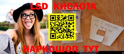 PSILOCYBIN Можайск