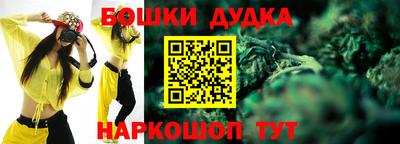 МДПВ Можга