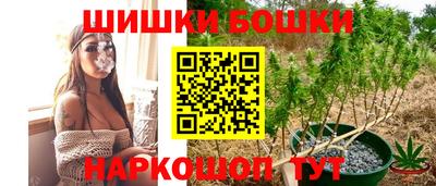 МДПВ Можга