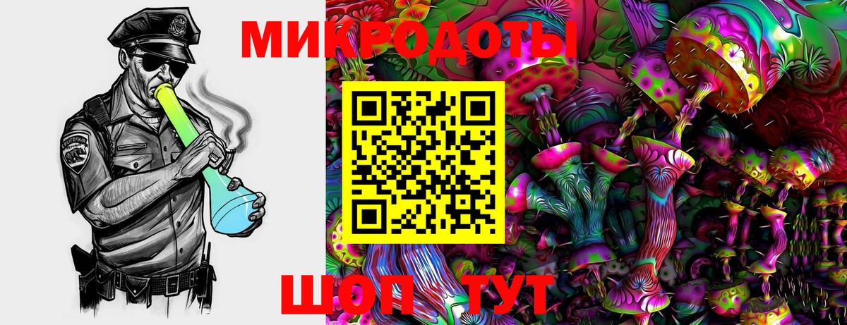 Советская Гавань  Галлюциногенные грибы MAGIC MUSHROOMS  Вход с VPN 